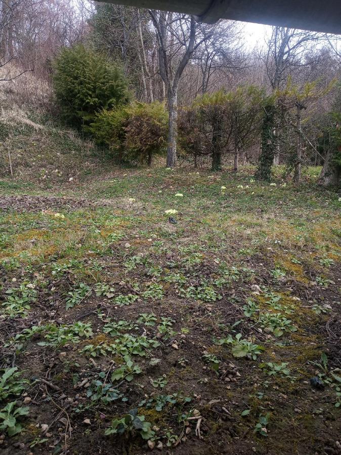 Holiday Home Nature Plesivica Jastrebarsko Extérieur photo