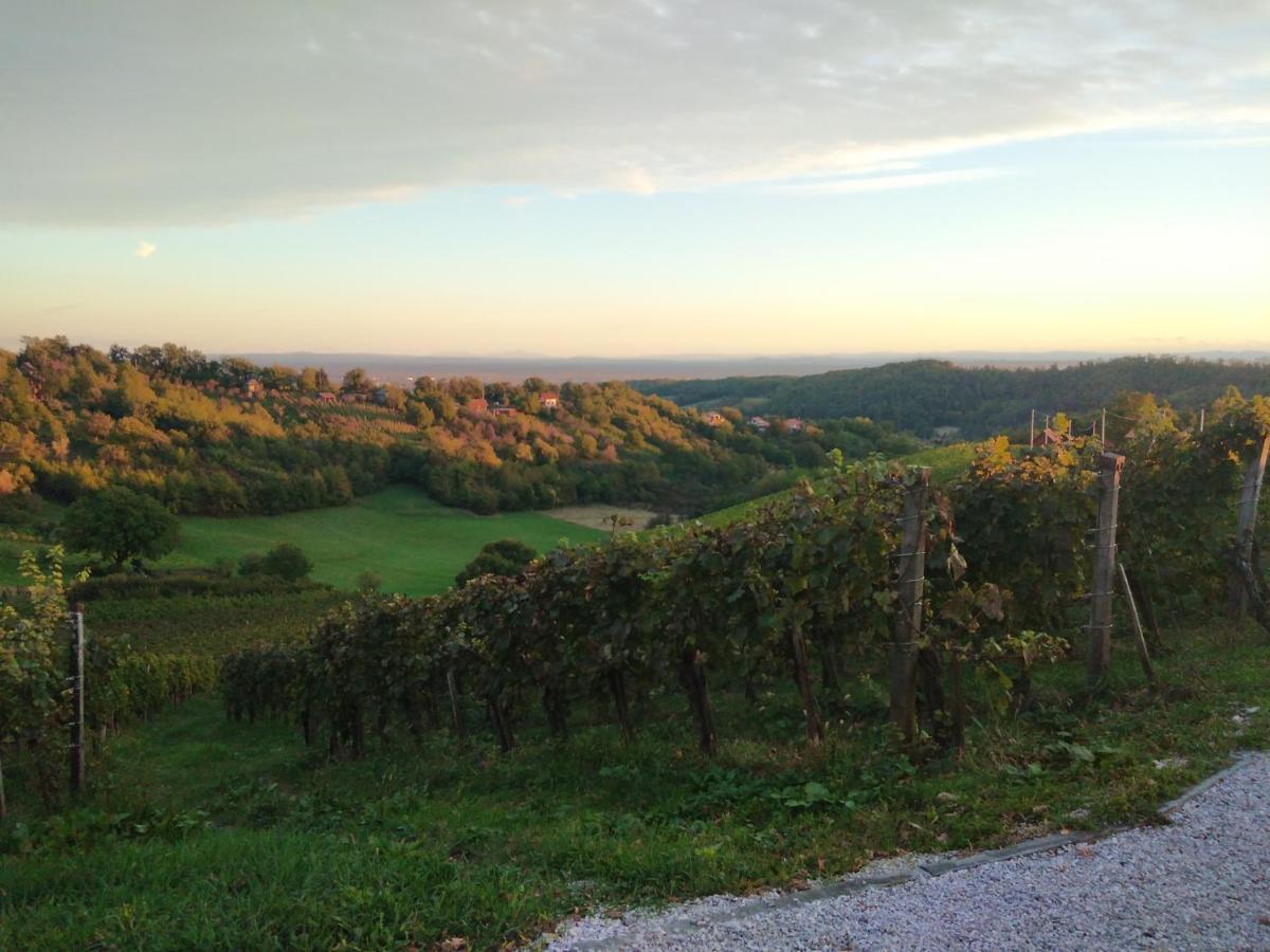 Holiday Home Nature Plesivica Jastrebarsko Extérieur photo
